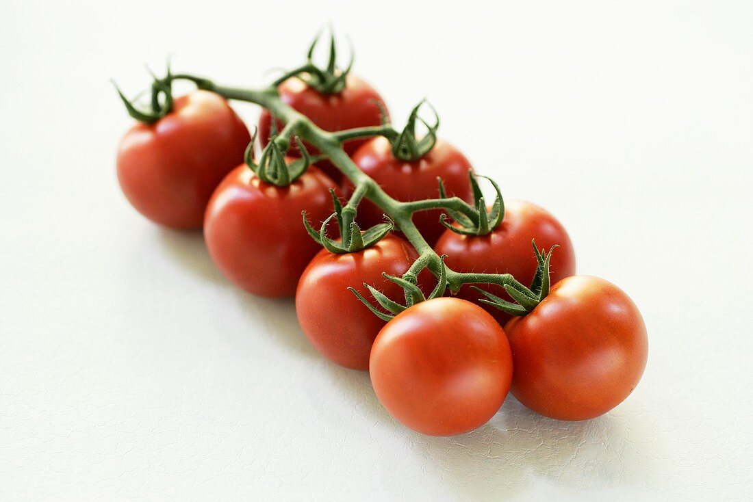 Eine Tomatenrispe