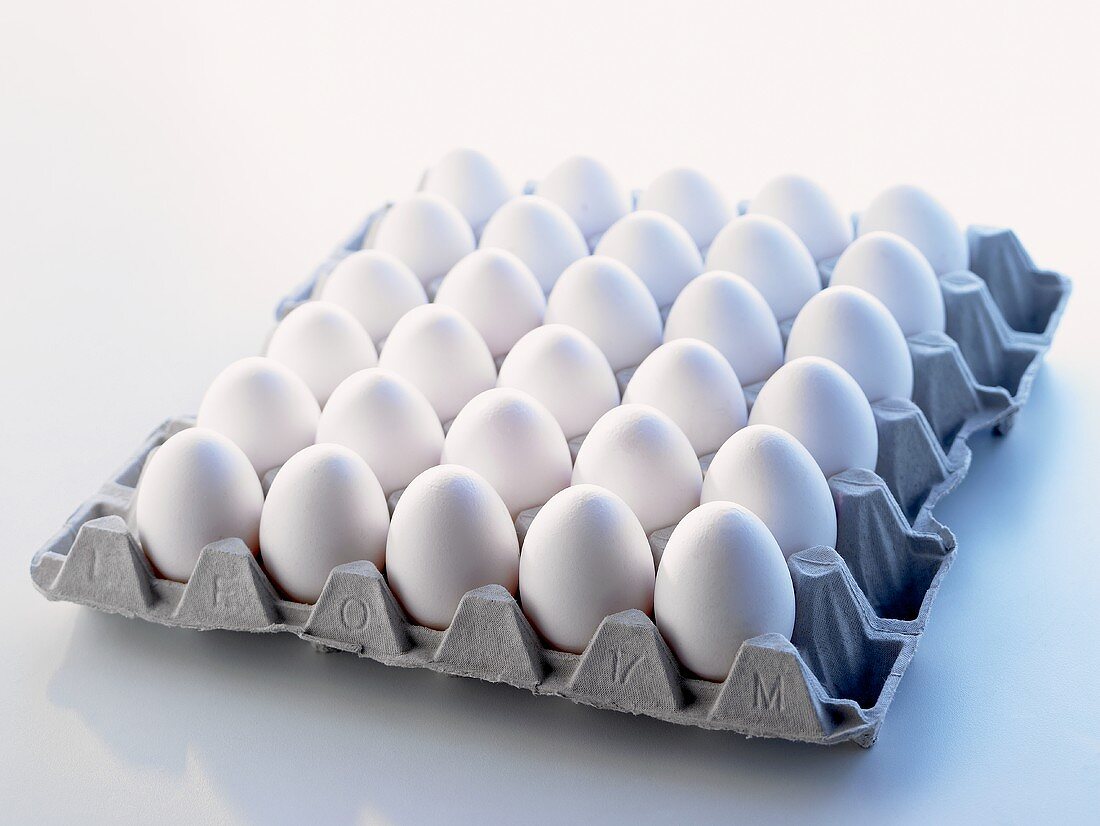 weiße Eier auf einer Palette