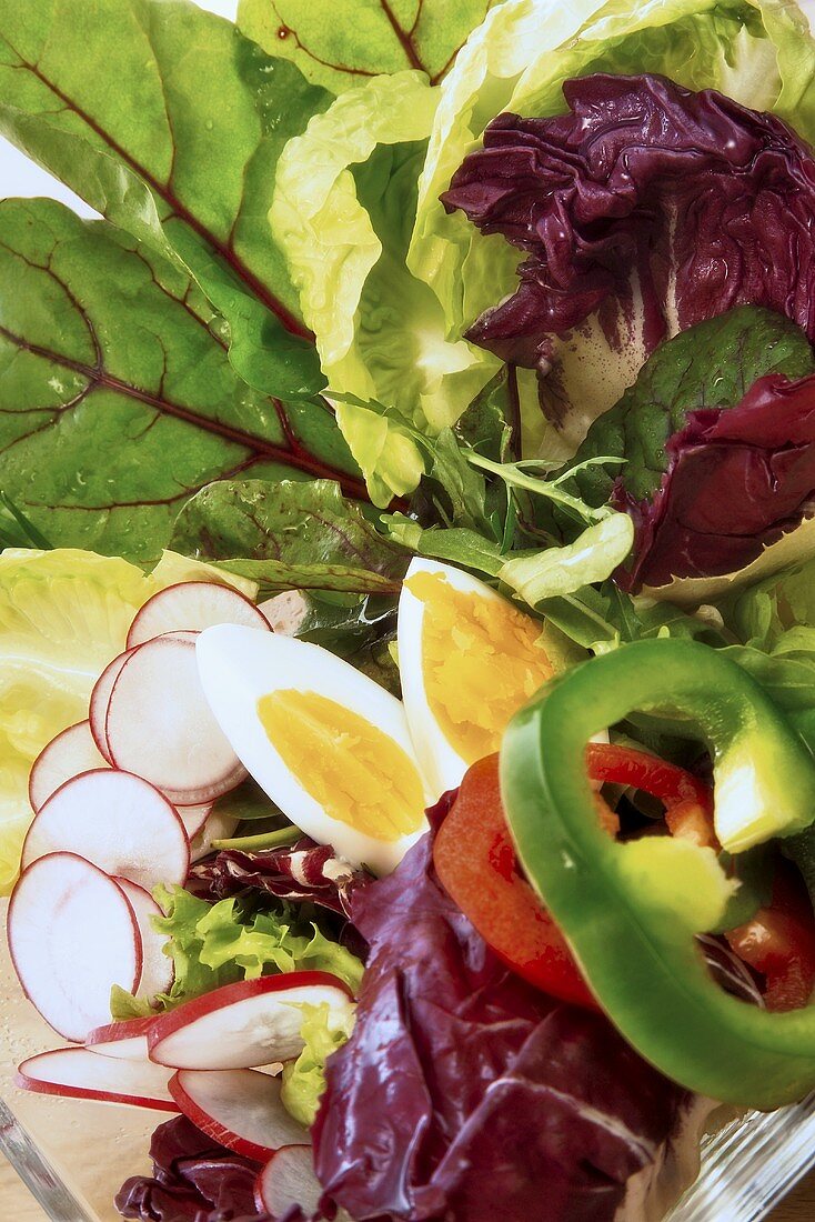Gesunder gemischter Salat