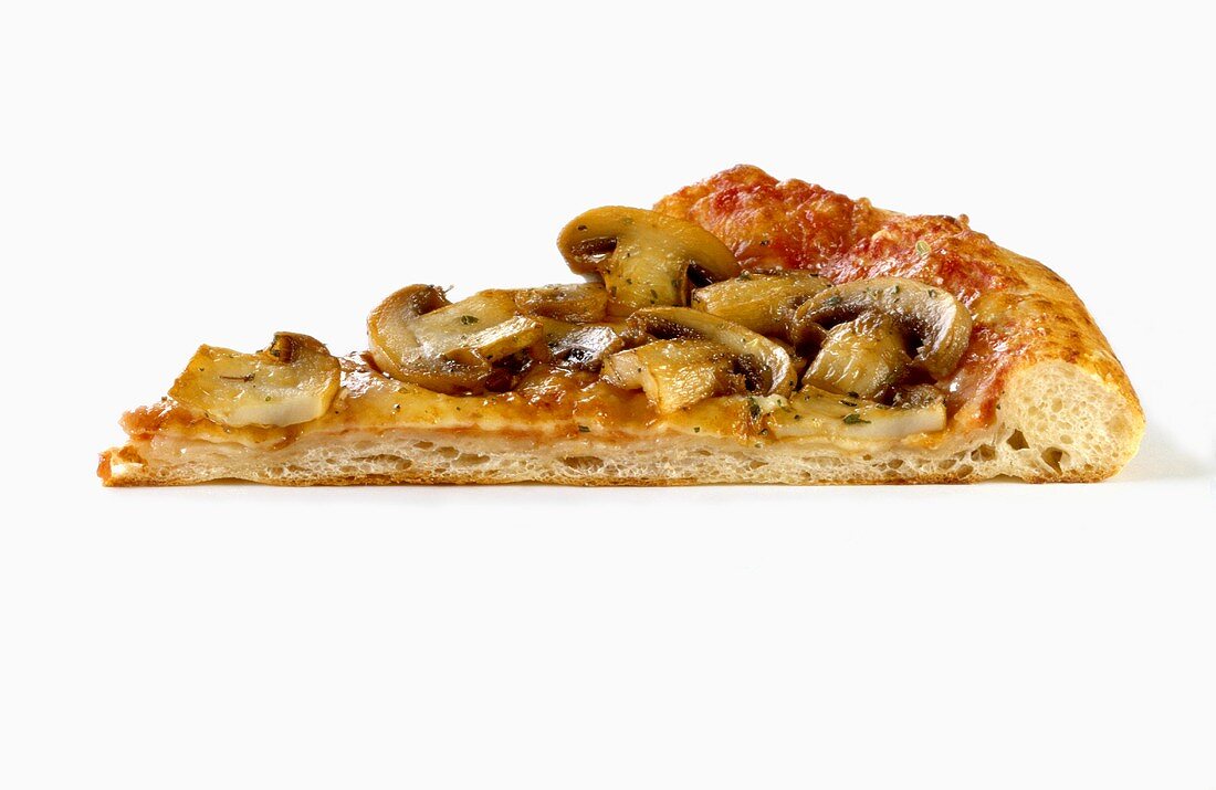 A piece of pizza with tomatoes, cheese and mushrooms