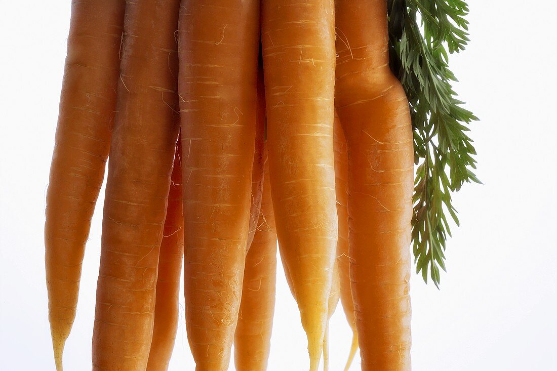 Bunch of carrots, close-up