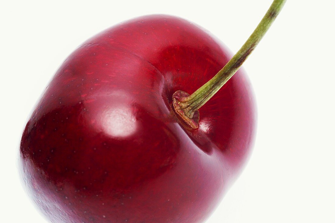 Sweet cherry, close-up