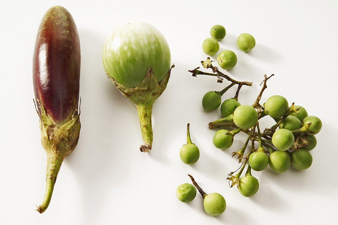 Various types of aubergine