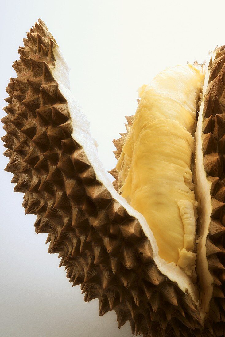 Geöffnete Durianfrucht, Nahaufnahme