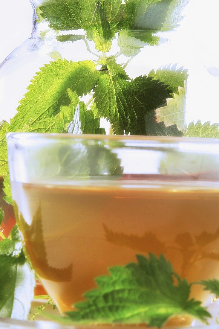 Peppermint tea in a glass cup