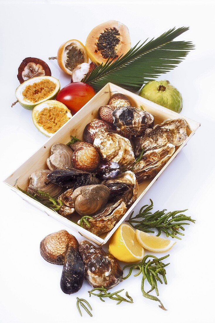 Assorted shellfish and fruit
