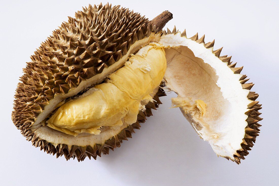 Geöffnete Durianfrucht