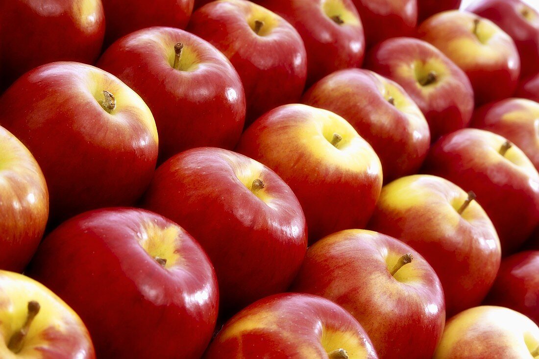 Viele rote Äpfel, bildfüllend
