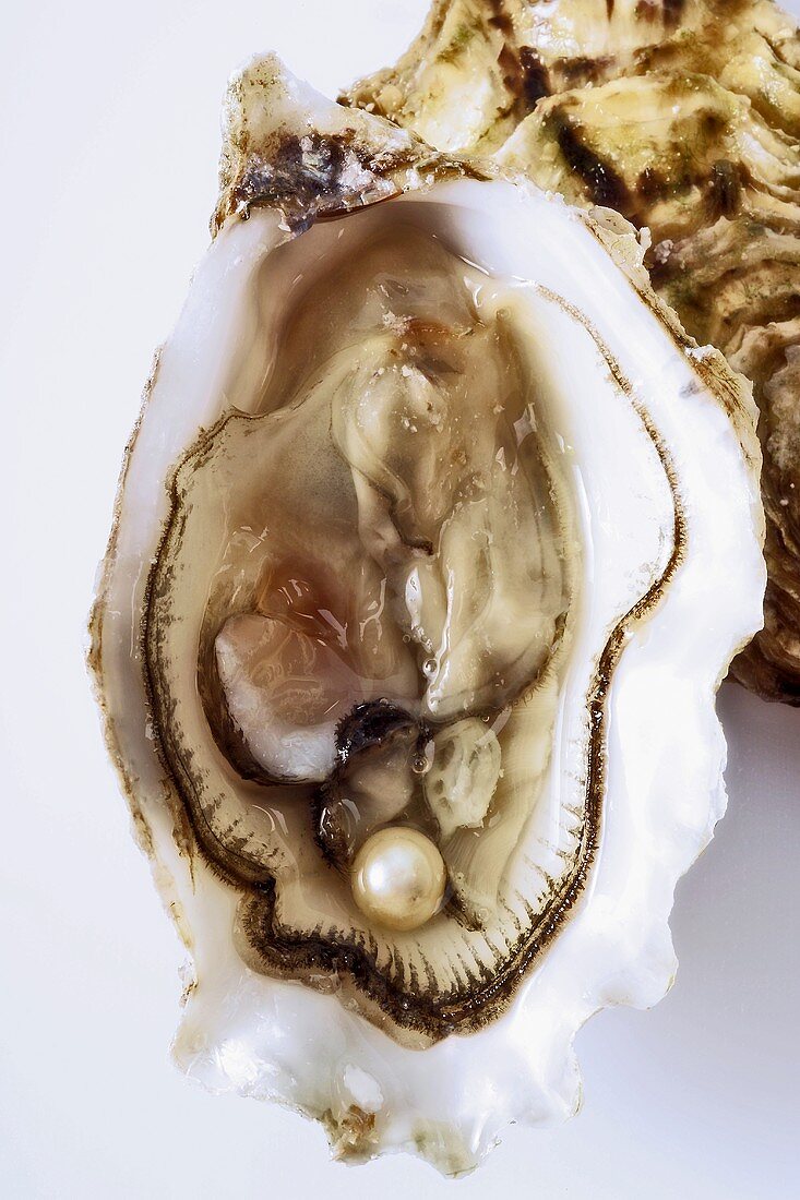 Opened oyster with oyster meat and a pearl