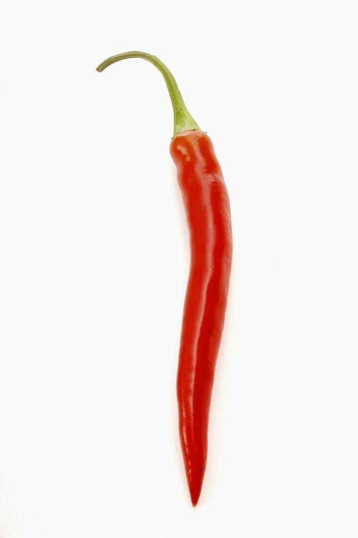 A Single Red Chili Pepper