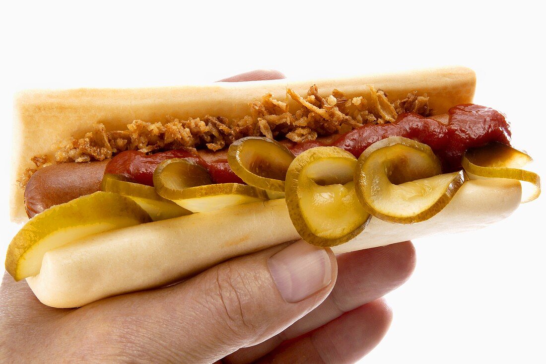 Classic hot dog in someone's hand