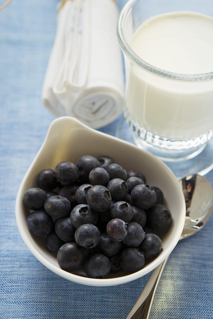 Blueberries in a bowl beside glass of milk
