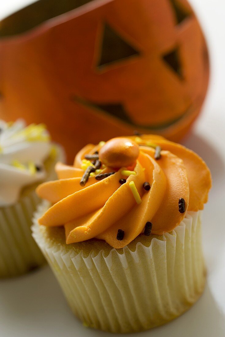 Muffin in front of a Halloween pumpkin