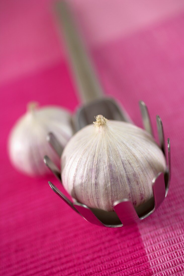 Knollenknoblauch (aglio monobulbo) auf Nudelzange