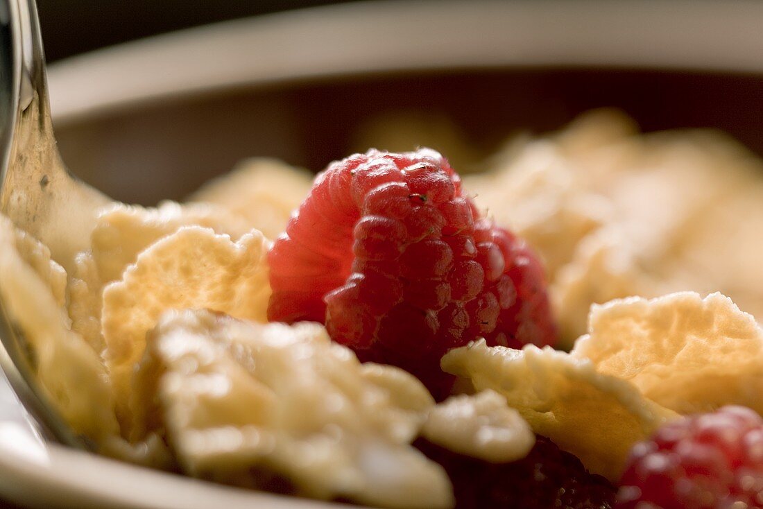 Flakes with raspberries, close-up