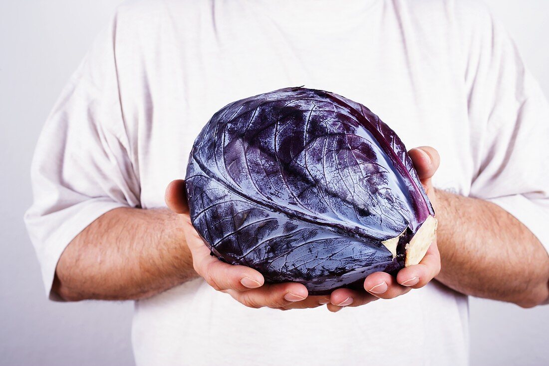 Mann hält Rotkohl vor dem Körper