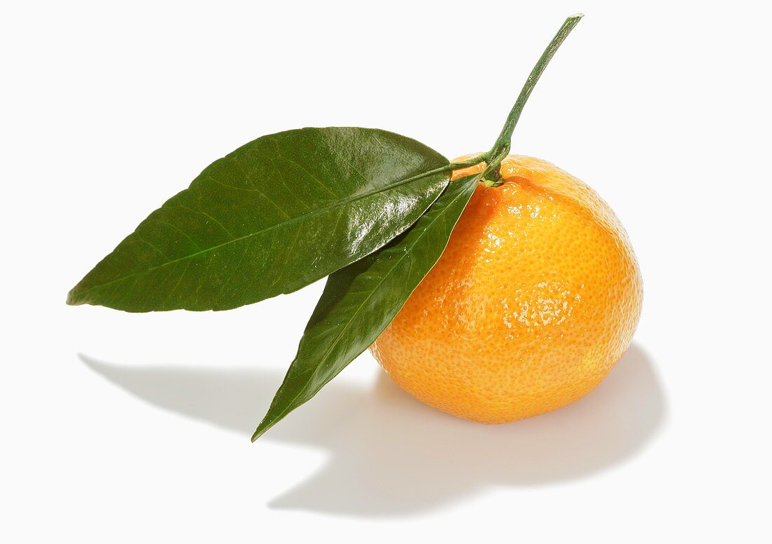 A mandarin orange with leaves