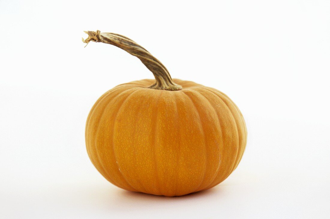 Small Pumpkin on a White Background