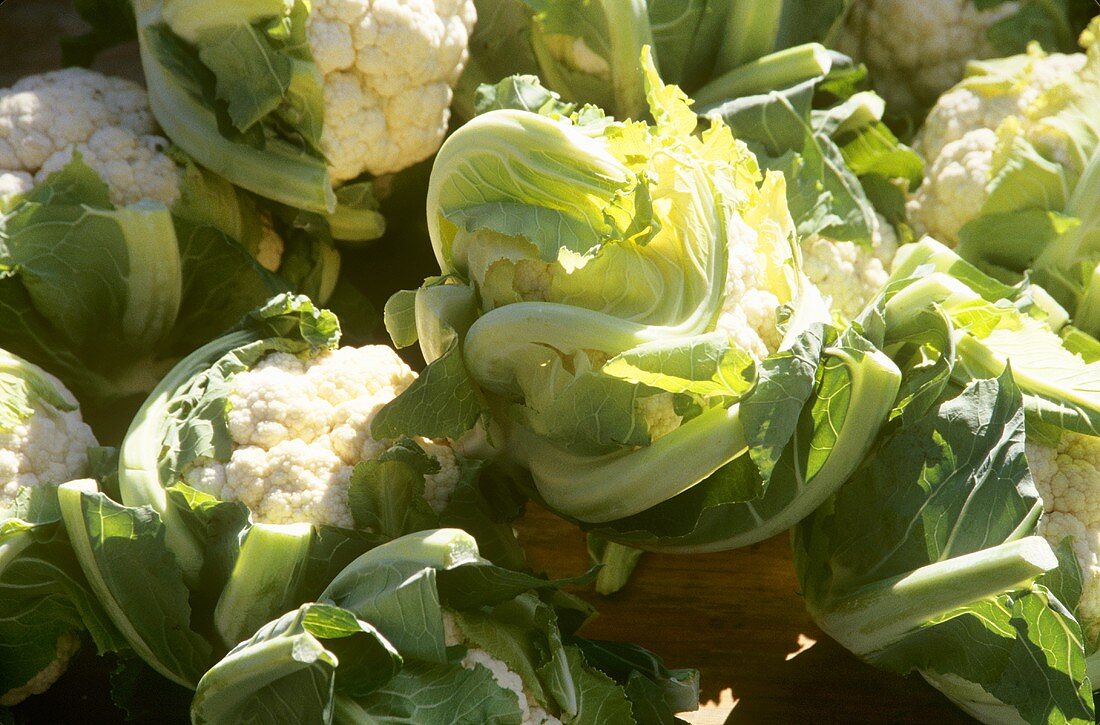 Heads of Fresh Organic Cauliflower