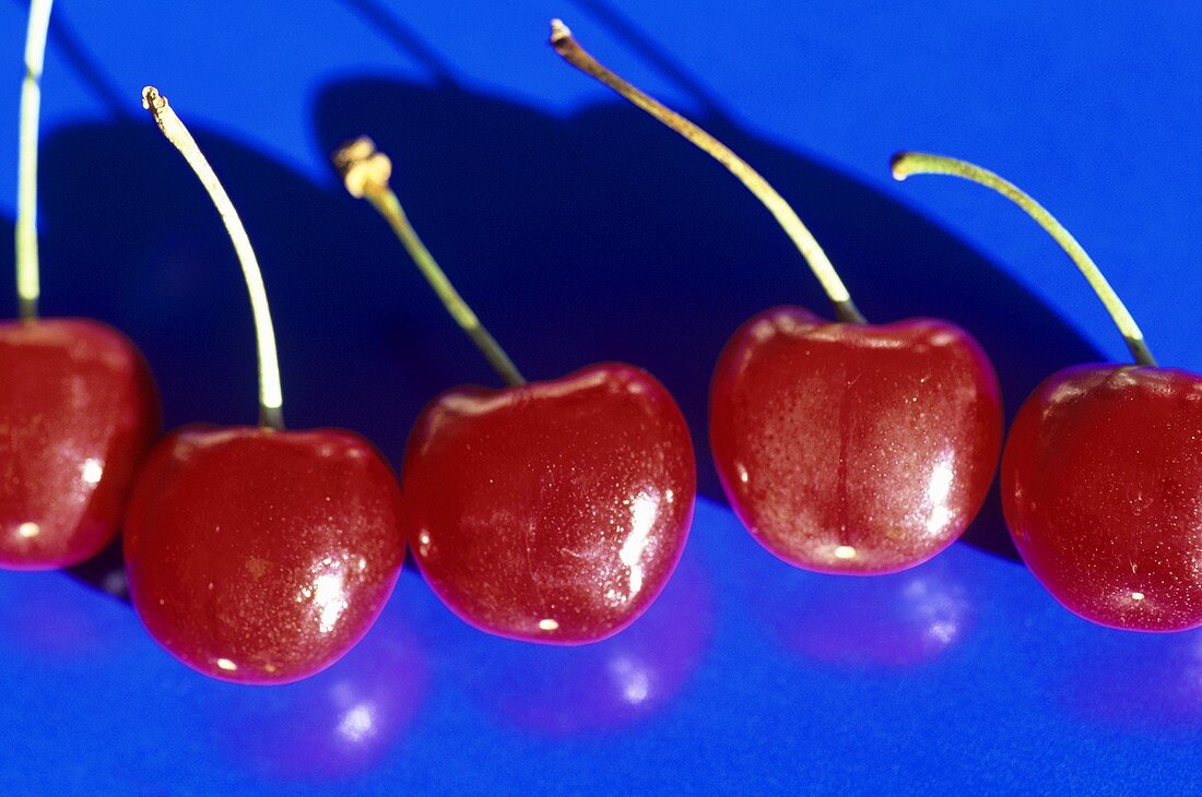 Fünf rote Kirschen auf blauem Untergrund