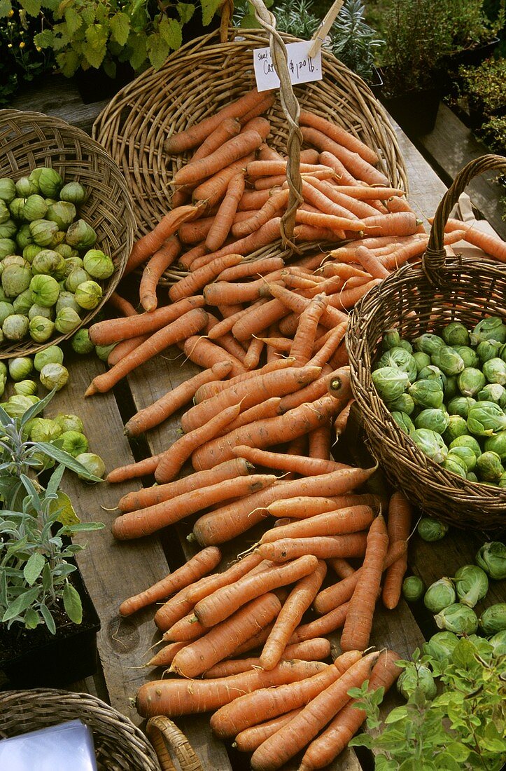 Carrots and Brussels Sprouts at the Market