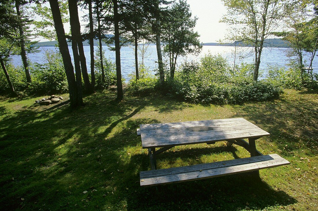 Picnic Table by the Lake