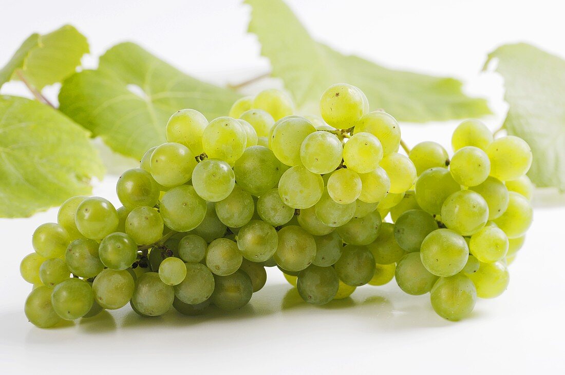 Grapes and vine leaves on white background