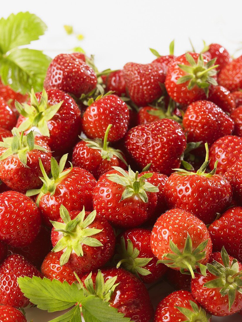 Viele frische Erdbeeren auf einem Haufen