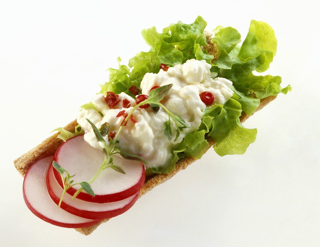 Bread with cottage cheese, lettuce and radishes