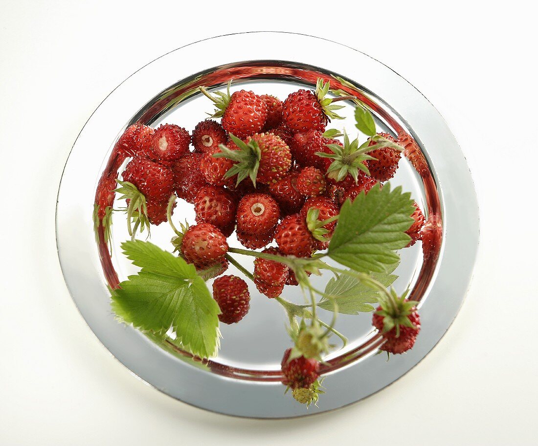 Wild strawberries on a silver plate