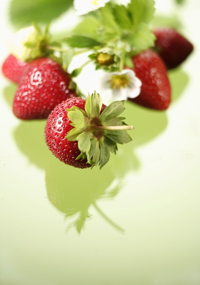 Strawberries with flowers and leaf