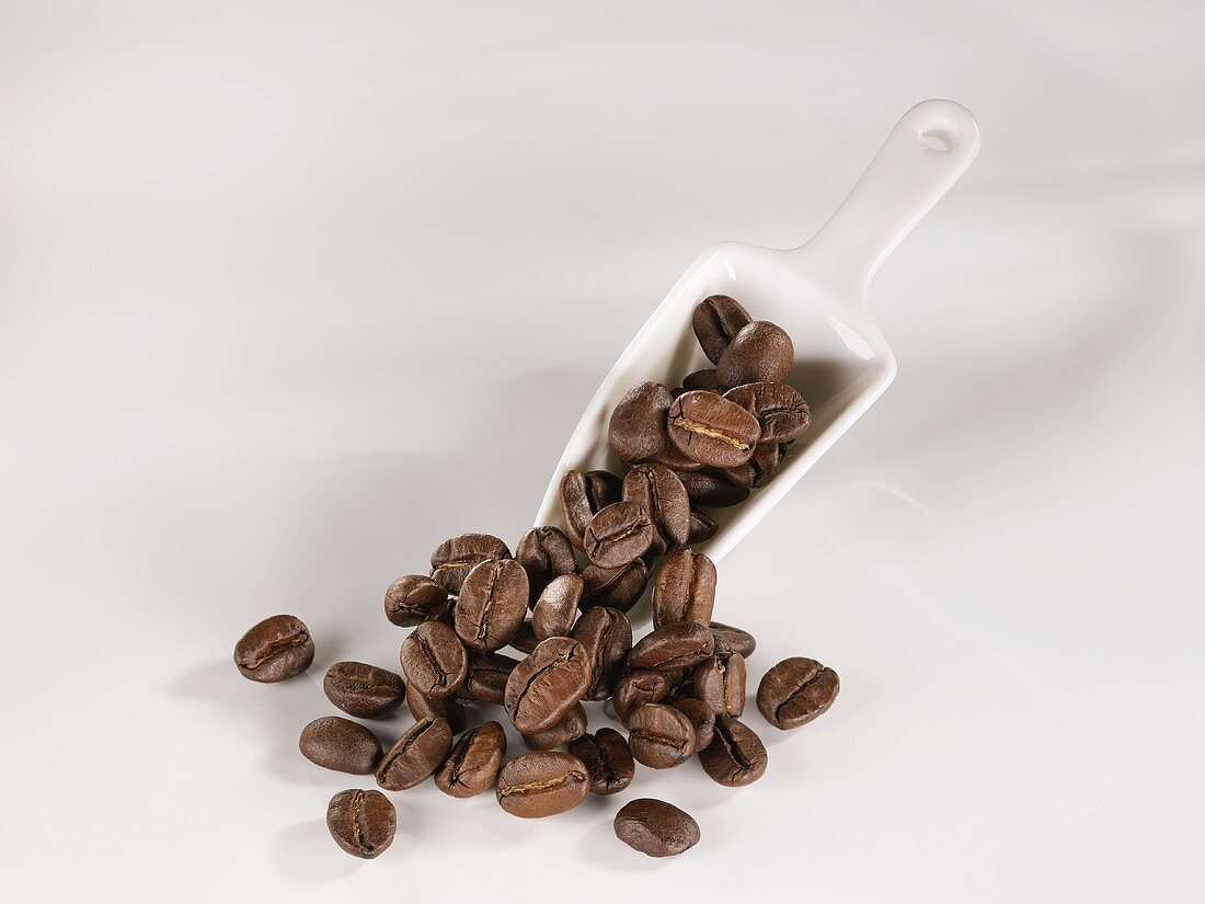 Coffee beans and a china scoop