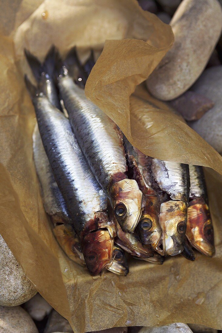 Smoked sardines on baking parchment