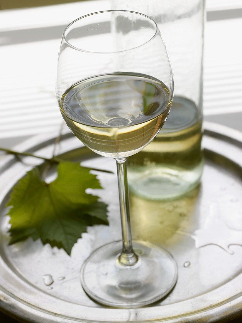 A glass of white wine with bottle on a tray