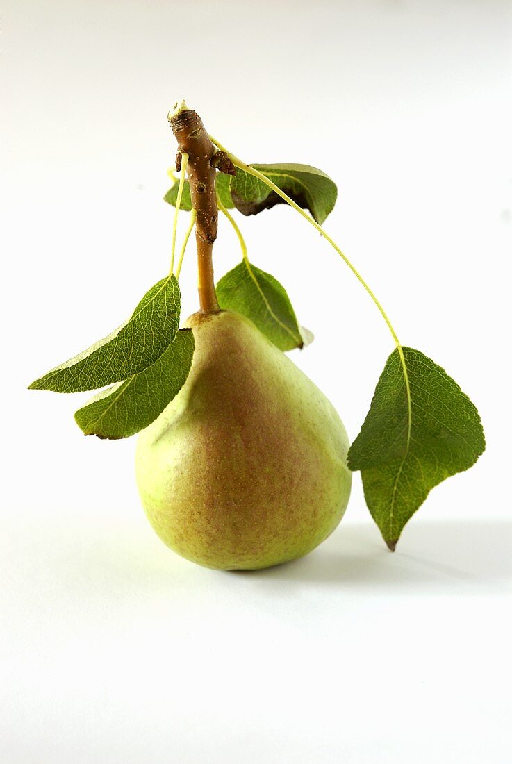 A pear with leaves