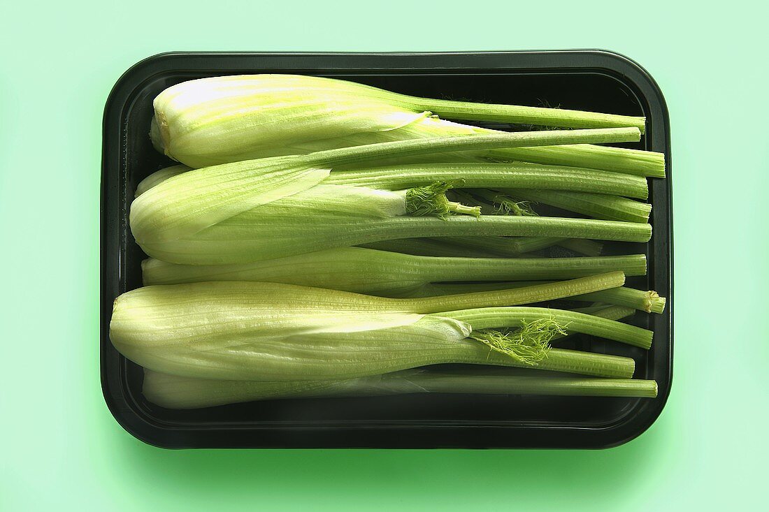 Baby fennel in a plastic tray