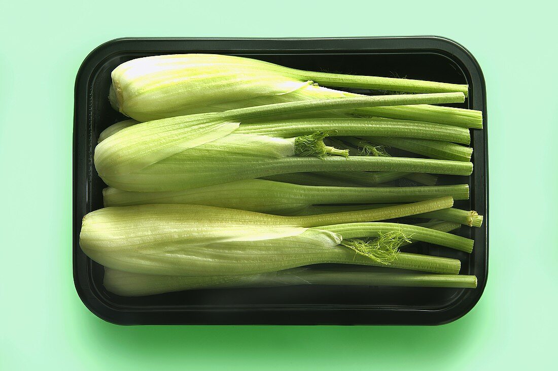 Mini-Fenchel in der Plastikschale