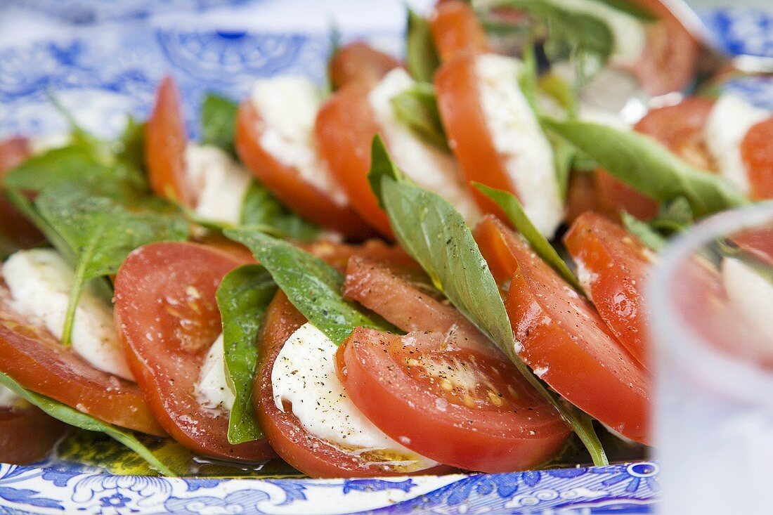 Insalata Caprese (Tomaten und Mozzarella, Italien)