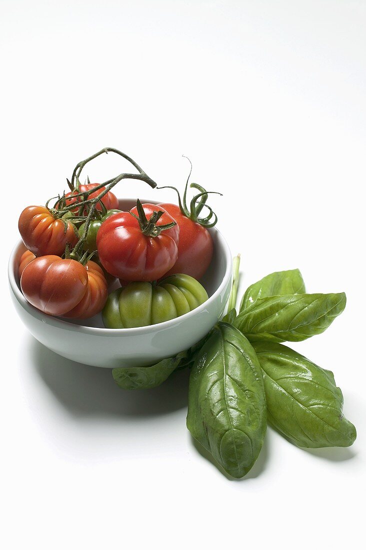 Red and green beefsteak tomatoes in a bowl and basil