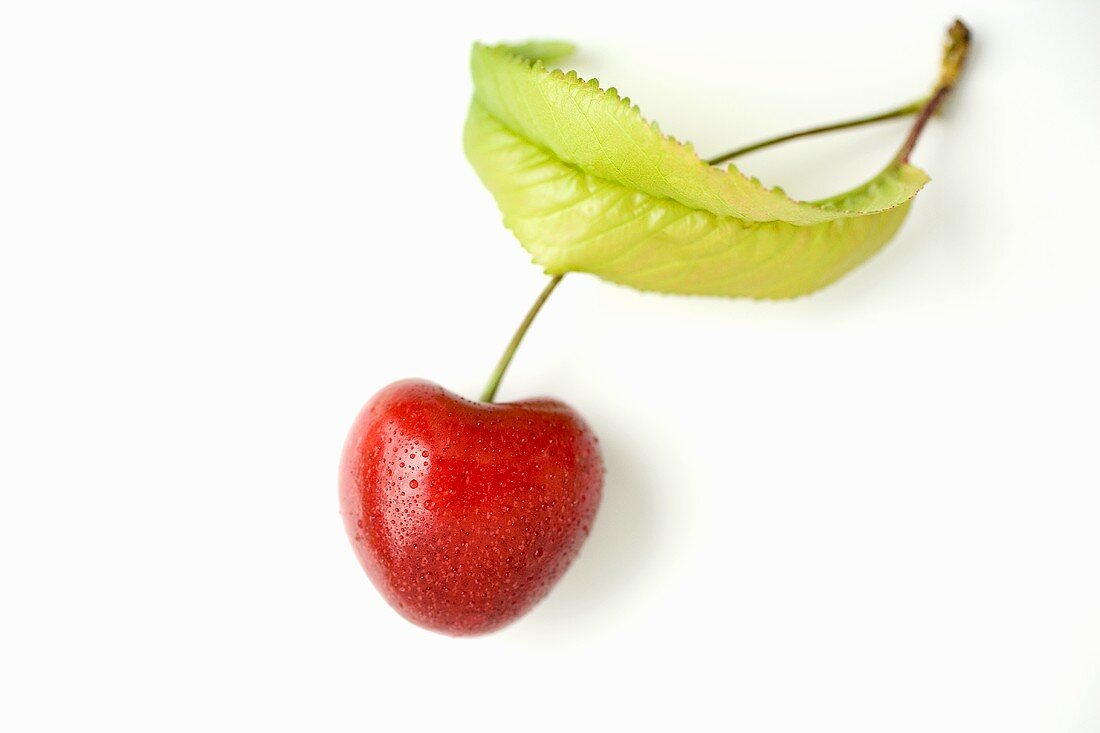 A cherry with leaf