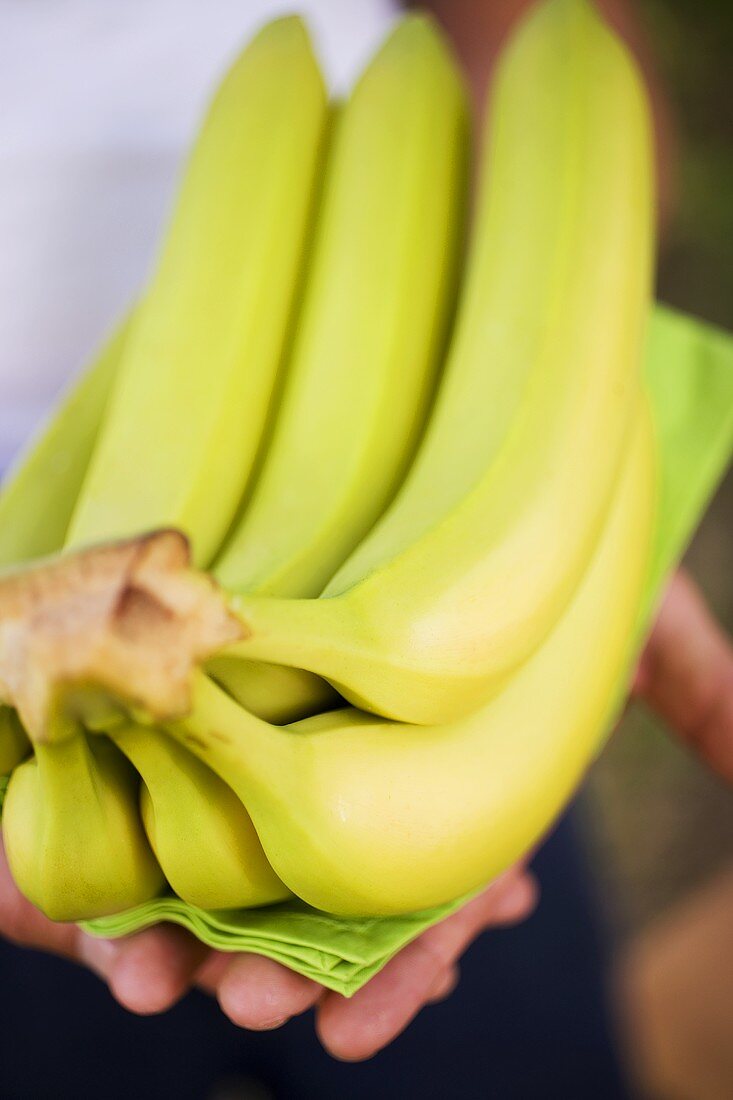 Fresh bananas