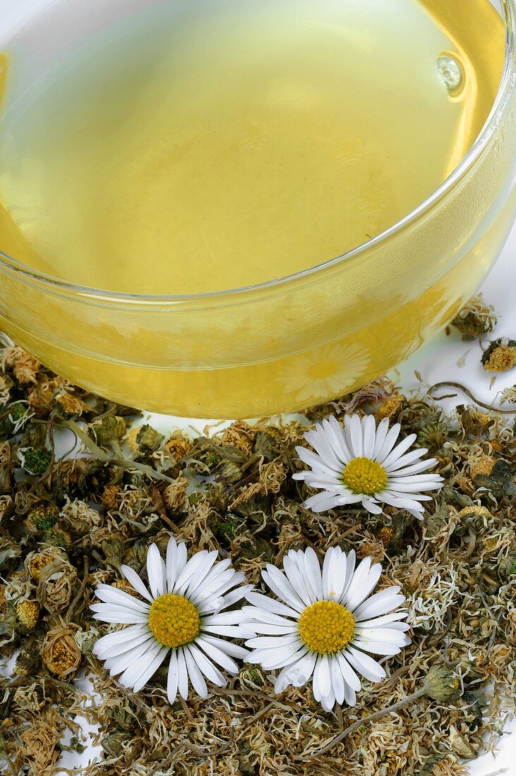 Daisy tea with fresh and dried daisies