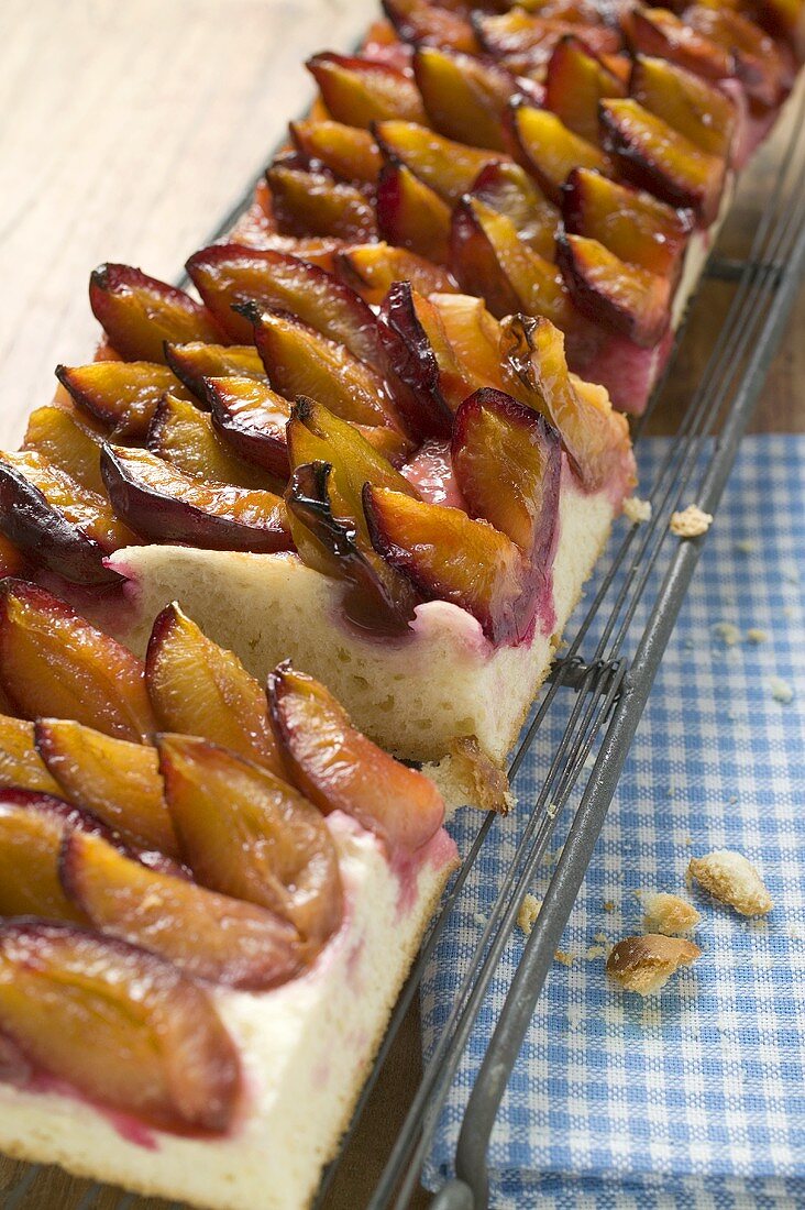 Pieces of damson cake (Zwetschgendatschi) on a rack