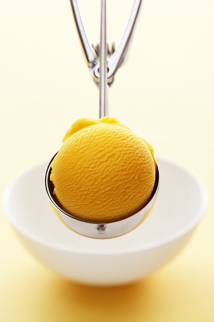 Mango sorbet in an ice cream scoop