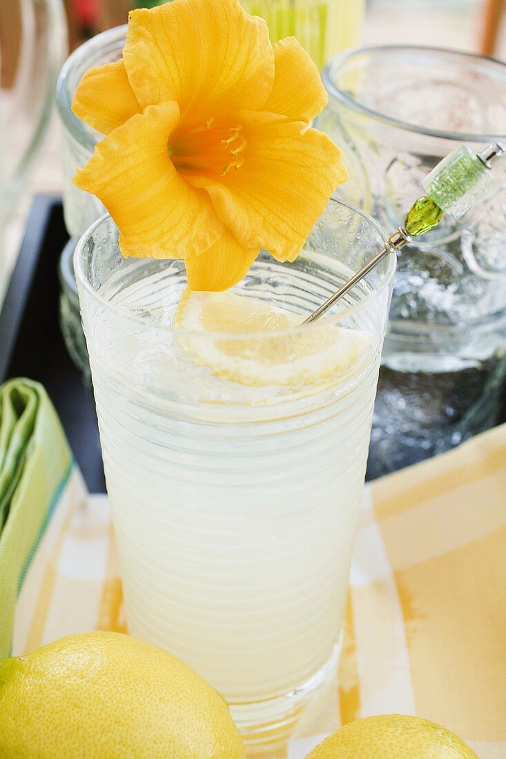 Zitronenlimonade im Glas mit Blüte