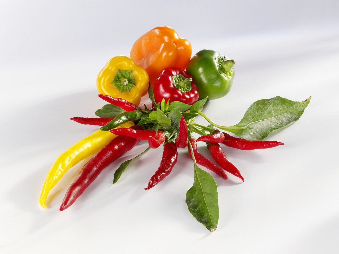Assorted peppers and chillies