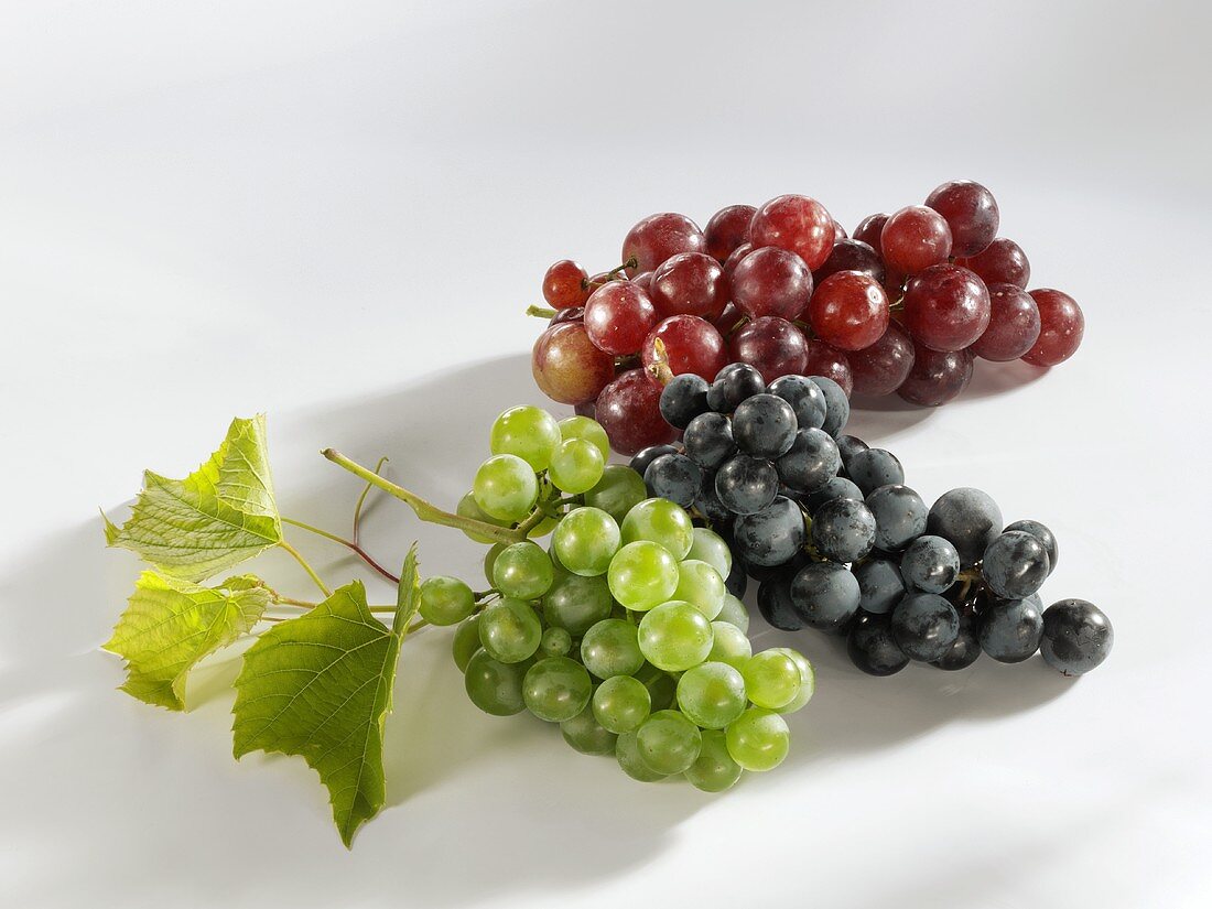 Muskateller grapes, Müller Thurgau & Muskat Trollinger