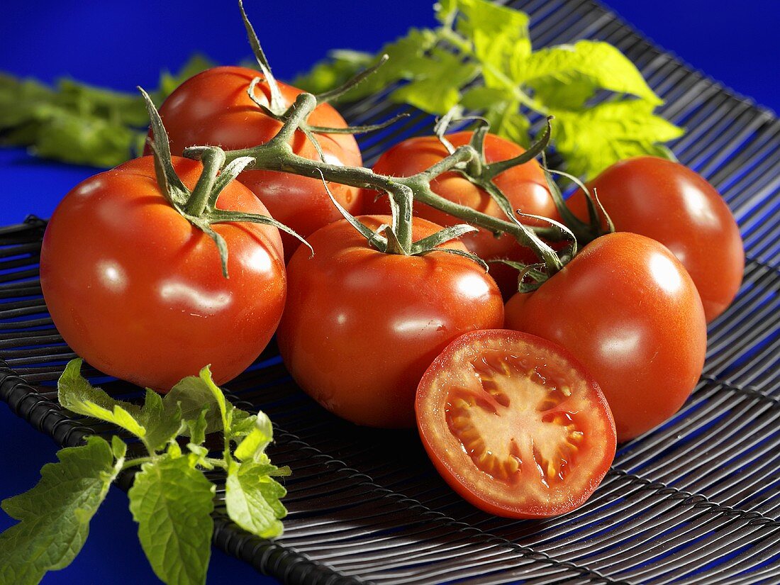 Tomatoes, variety 'Voyager'