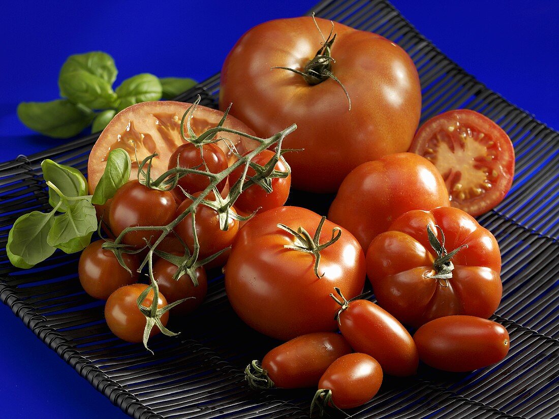 Various types of red tomatoes and basil