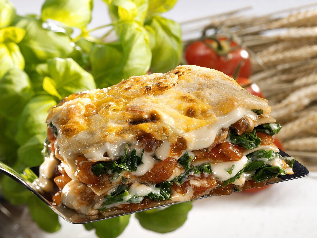 A portion of spinach lasagne with tomatoes